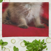 Niedliche Kleintiere | Siamese Kitten Geschirrtuch (Gefaltet)