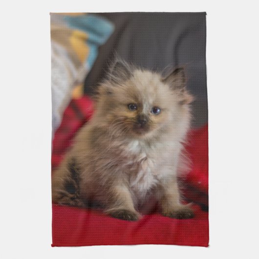 Niedliche Kleintiere | Siamese Kitten Geschirrtuch (Vertikal)