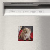 Niedliche Kleintiere | Siamese Kitten Magnet (In Situ (Geschirrspüler))