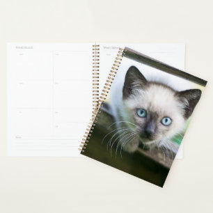 Niedliche Kleintiere Siamese Kitten Planer