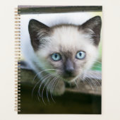 Niedliche Kleintiere | Siamese Kitten Planer (Vorderseite)