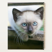 Niedliche Kleintiere | Siamese Kitten Planer (Rückseite)