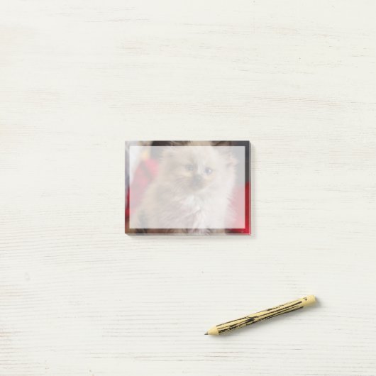 Niedliche Kleintiere | Siamese Kitten Post-it Klebezettel (Auf Schreibtisch)