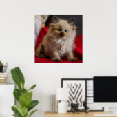 Niedliche Kleintiere | Siamese Kitten Poster (Heimbüro)