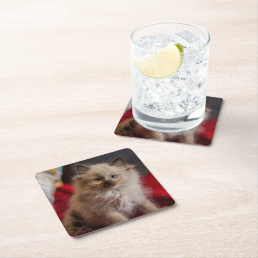 Niedliche Kleintiere | Siamese Kitten Rechteckiger Pappuntersetzer (Vor Ort)