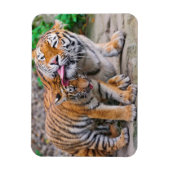 Niedliche Kleintiere | Sibirische Tiger-Familie Magnet (Vertikal)