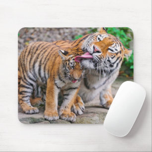 Niedliche Kleintiere Sibirische Tiger-Familie Mousepad