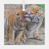 Niedliche Kleintiere | Sibirische Tiger-Familie Ornament Aus Glas (Vorderseite)