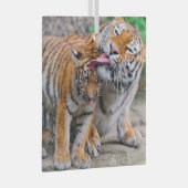 Niedliche Kleintiere | Sibirische Tiger-Familie Ornament Aus Glas (Vorderseite Rechts)