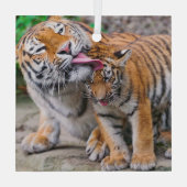 Niedliche Kleintiere | Sibirische Tiger-Familie Ornament Aus Glas (Rückseite)