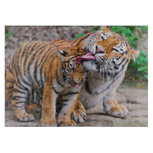 Niedliche Kleintiere   Sibirische Tiger-Familie Schneidebrett