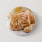 Niedliche Kleintiere | Sleeping Ginger Cat Button (Vorderseite)