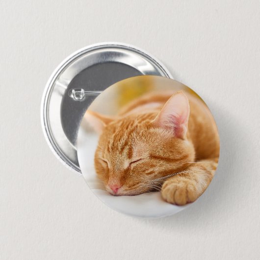 Niedliche Kleintiere | Sleeping Ginger Cat Button (Vorne & Hinten)