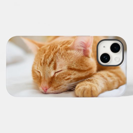 Niedliche Kleintiere | Sleeping Ginger Cat Case-Mate iPhone Hülle (Rückseite (Horizontal))