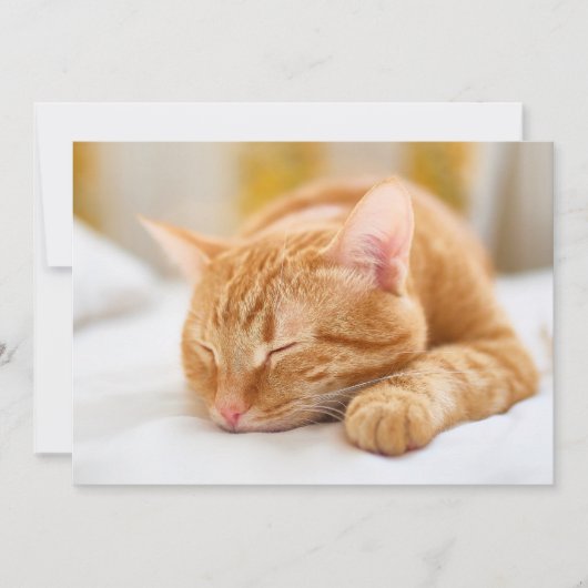 Niedliche Kleintiere | Sleeping Ginger Cat Dankeskarte (Vorderseite)