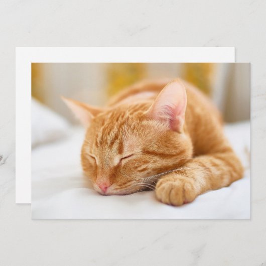 Niedliche Kleintiere | Sleeping Ginger Cat Dankeskarte (Vorne/Hinten)