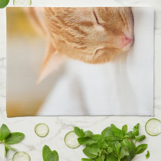 Niedliche Kleintiere | Sleeping Ginger Cat Geschirrtuch (Gefaltet)