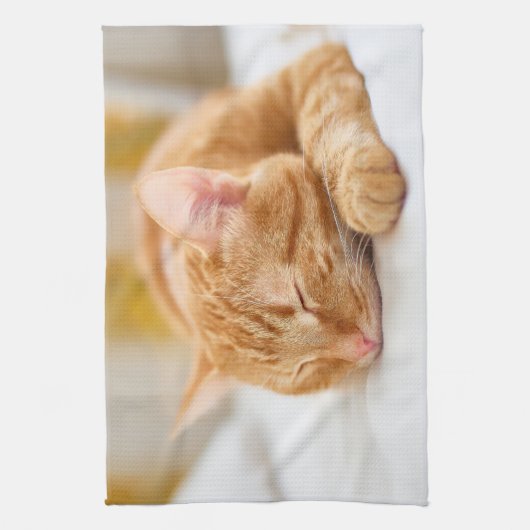 Niedliche Kleintiere | Sleeping Ginger Cat Geschirrtuch (Vertikal)