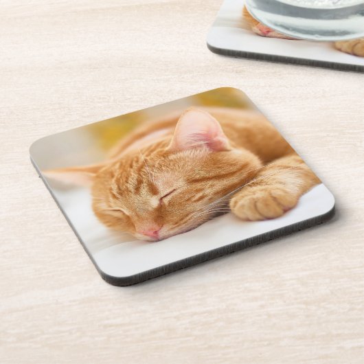 Niedliche Kleintiere | Sleeping Ginger Cat Getränkeuntersetzer (Linke Seite)