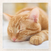 Niedliche Kleintiere | Sleeping Ginger Cat Glasuntersetzer (Vorderseite)