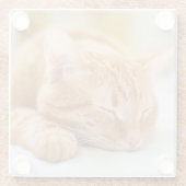 Niedliche Kleintiere | Sleeping Ginger Cat Glasuntersetzer (Rückseite)