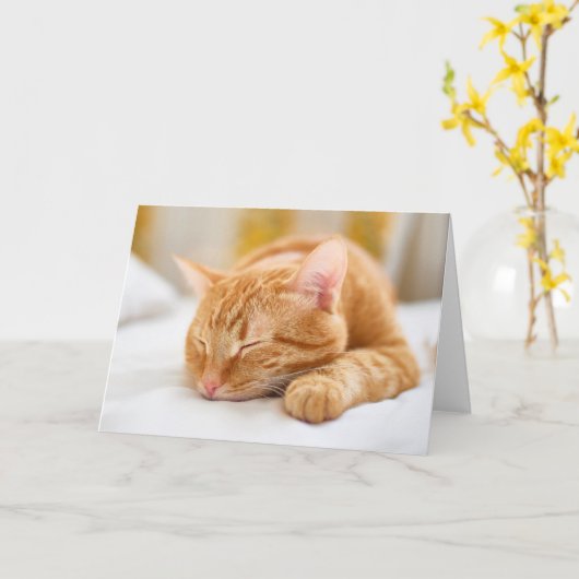 Niedliche Kleintiere | Sleeping Ginger Cat Karte (Gelbe Blume)