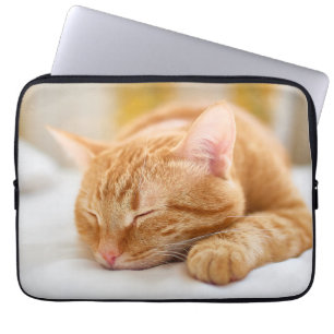 Niedliche Kleintiere Sleeping Ginger Cat Laptopschutzhülle