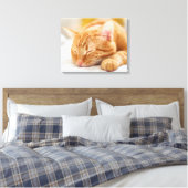 Niedliche Kleintiere | Sleeping Ginger Cat Leinwanddruck (Insitu (Schlafzimmer))