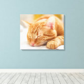 Niedliche Kleintiere | Sleeping Ginger Cat Leinwanddruck (Insitu (Holzboden))