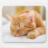 Niedliche Kleintiere | Sleeping Ginger Cat Mousepad (Vorne)