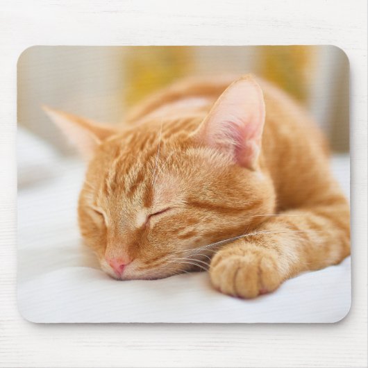 Niedliche Kleintiere | Sleeping Ginger Cat Mousepad (Vorne)