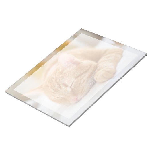 Niedliche Kleintiere | Sleeping Ginger Cat Notizblock (angewinkelt)