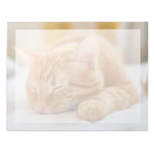 Niedliche Kleintiere | Sleeping Ginger Cat Notizblock (Vorderseite)