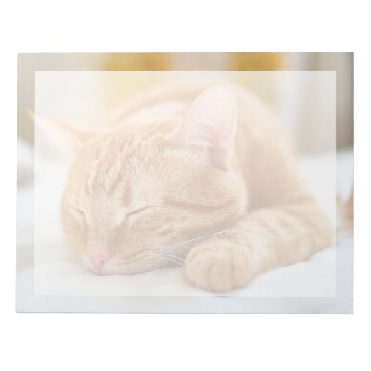 Niedliche Kleintiere | Sleeping Ginger Cat Notizblock (Vorderseite)