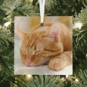 Niedliche Kleintiere   Sleeping Ginger Cat Ornament Aus Glas
