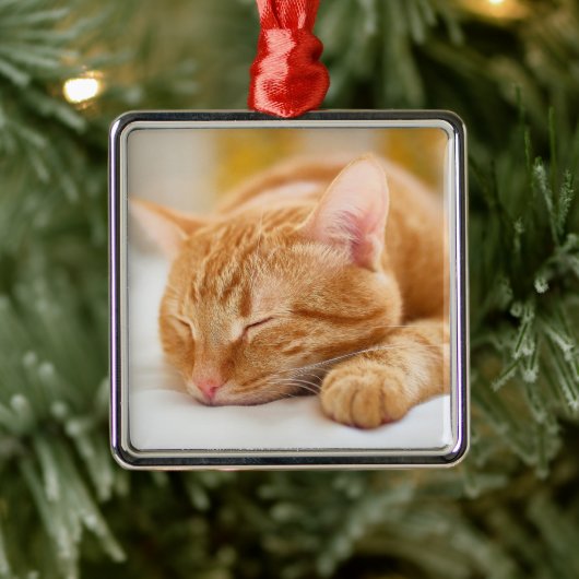Niedliche Kleintiere | Sleeping Ginger Cat Ornament Aus Metall (Baum)