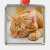 Niedliche Kleintiere | Sleeping Ginger Cat Ornament Aus Metall (Vorne)