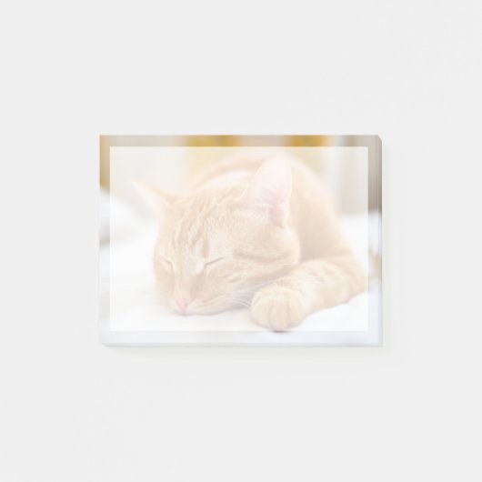 Niedliche Kleintiere | Sleeping Ginger Cat Post-it Klebezettel (Vorderseite)
