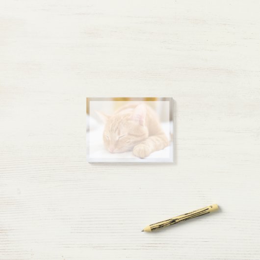 Niedliche Kleintiere | Sleeping Ginger Cat Post-it Klebezettel (Auf Schreibtisch)
