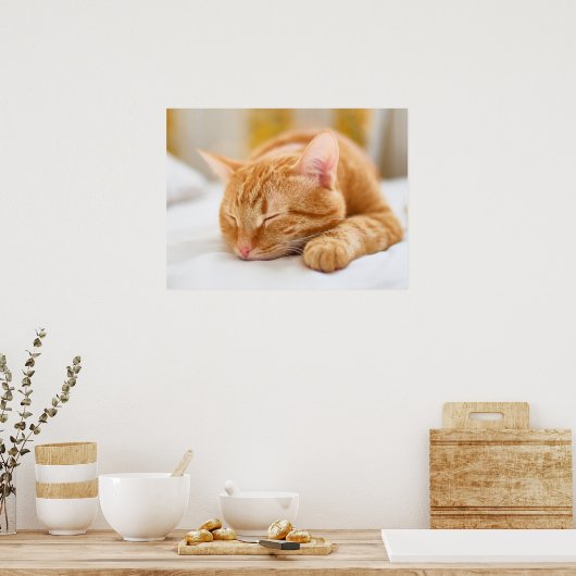 Niedliche Kleintiere | Sleeping Ginger Cat Poster (Küche)