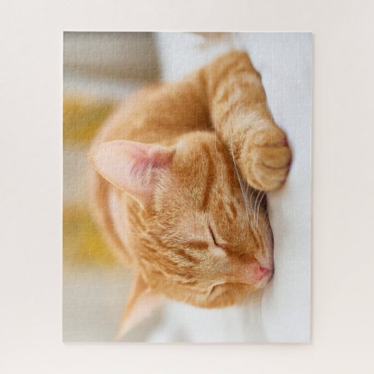 Niedliche Kleintiere | Sleeping Ginger Cat Puzzle (Vertikal)
