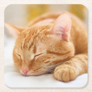 Niedliche Kleintiere   Sleeping Ginger Cat Rechteckiger Pappuntersetzer