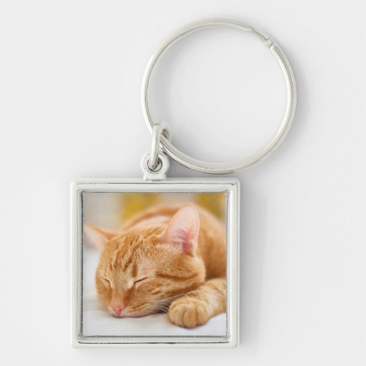 Niedliche Kleintiere | Sleeping Ginger Cat Schlüsselanhänger (Vorne)