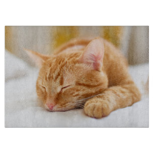 Niedliche Kleintiere Sleeping Ginger Cat Schneidebrett