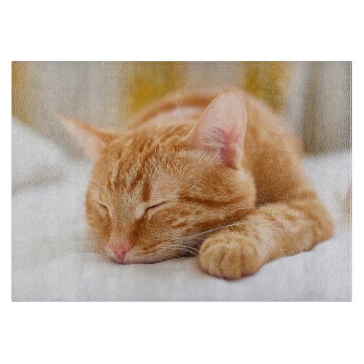 Niedliche Kleintiere | Sleeping Ginger Cat Schneidebrett (Vorderseite)