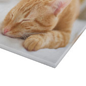 Niedliche Kleintiere | Sleeping Ginger Cat Schneidebrett (Ecke)