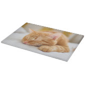 Niedliche Kleintiere | Sleeping Ginger Cat Schneidebrett (Ecke)