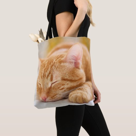 Niedliche Kleintiere | Sleeping Ginger Cat Tasche (Von Nahem)