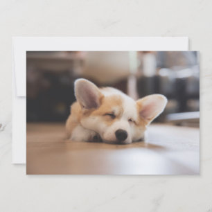 Niedliche Kleintiere Sleepy Corgi Dankeskarte