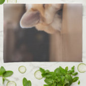 Niedliche Kleintiere | Sleepy Corgi Geschirrtuch (Gefaltet)
